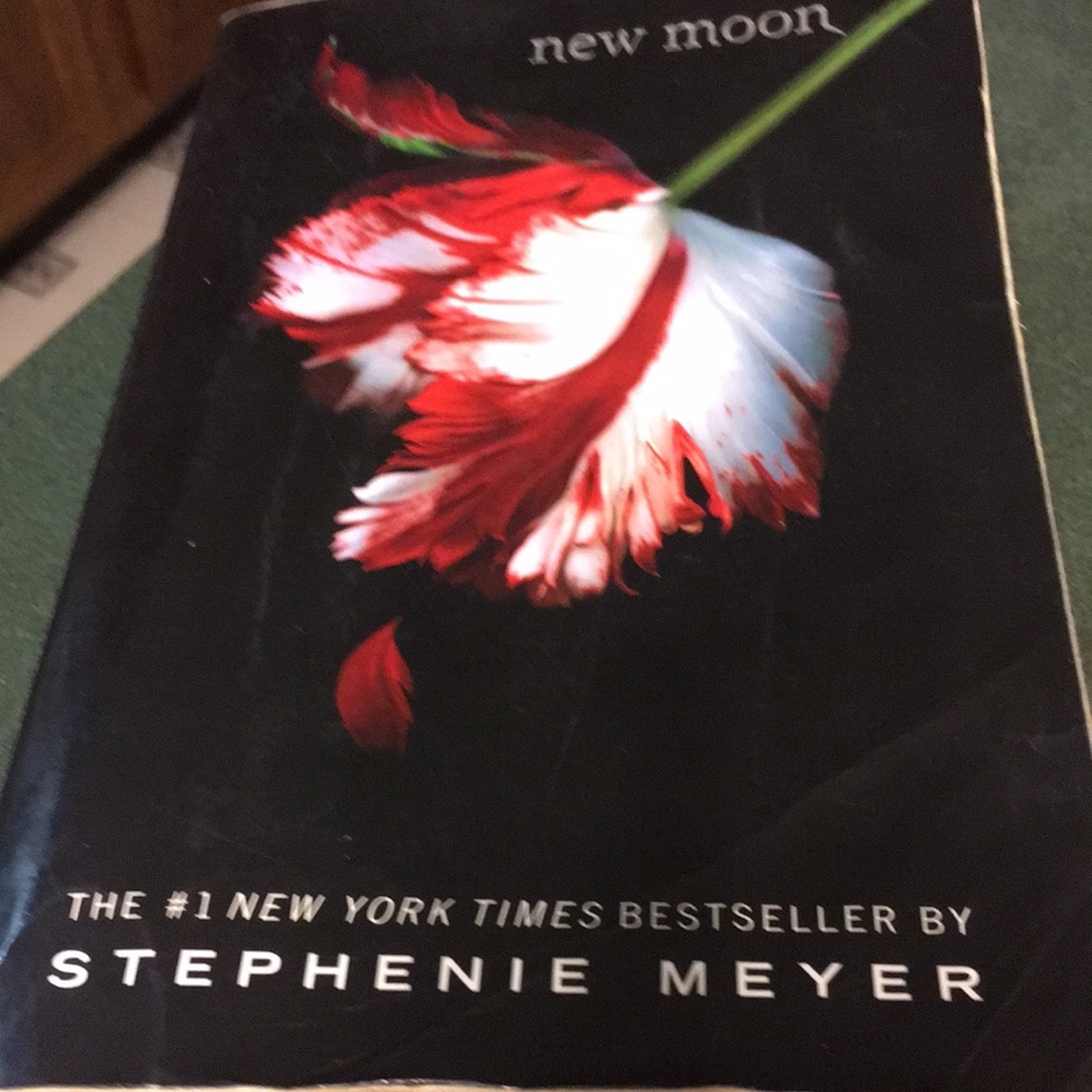 New moon book